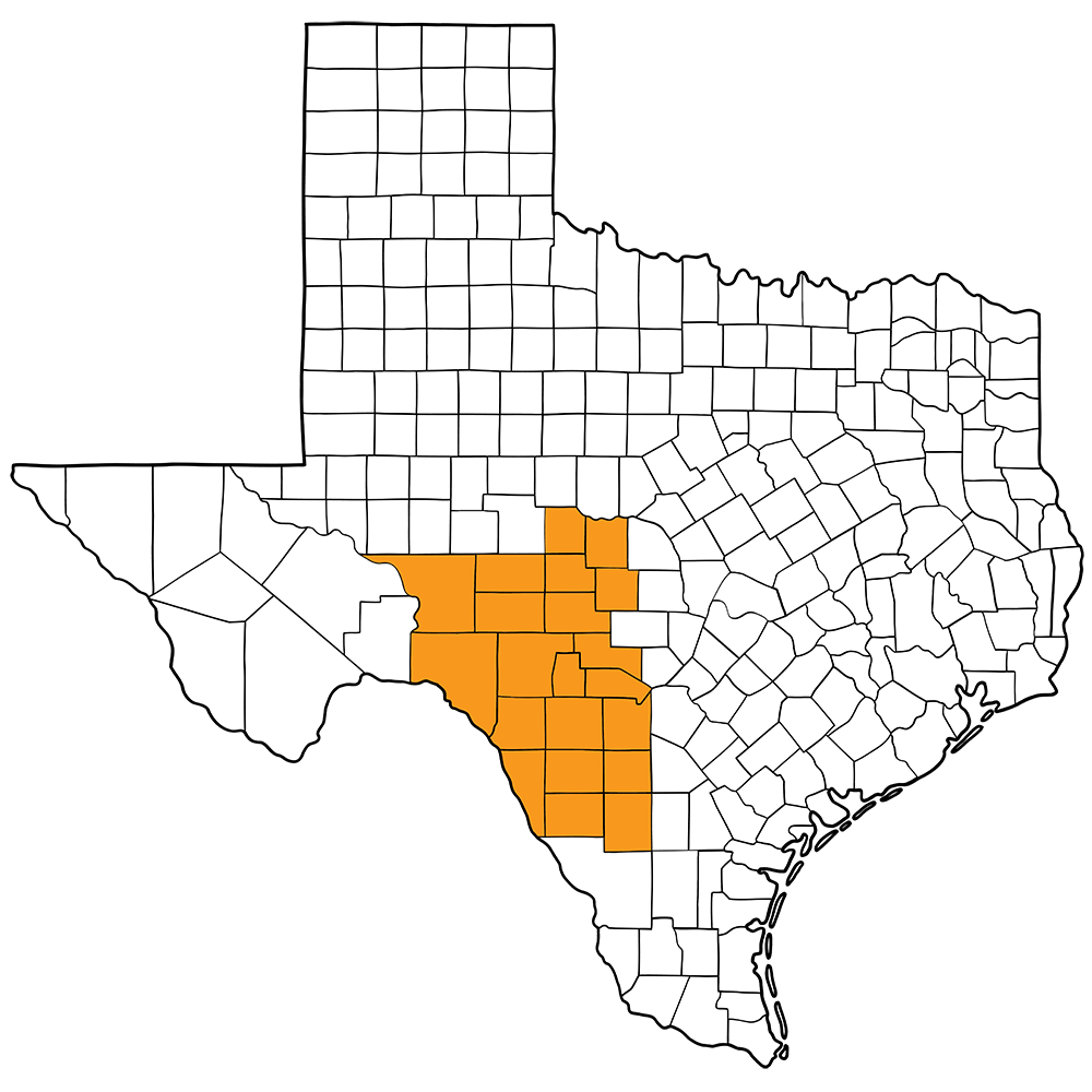Zone 4 Jurisdiction